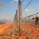 Corpo de Bombeiros intensifica combate a incêndios florestais