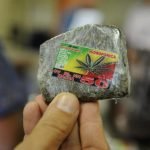 Julgamento no STF pode levar Brasil a descriminalizar porte de drogas