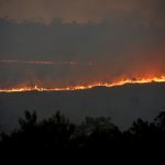 Incêndio na Floresta Nacional de Brasília deve durar toda a noite