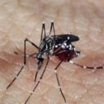 Aedes: MP prevê entrada forçada de agentes de saúde em imóveis abandonados