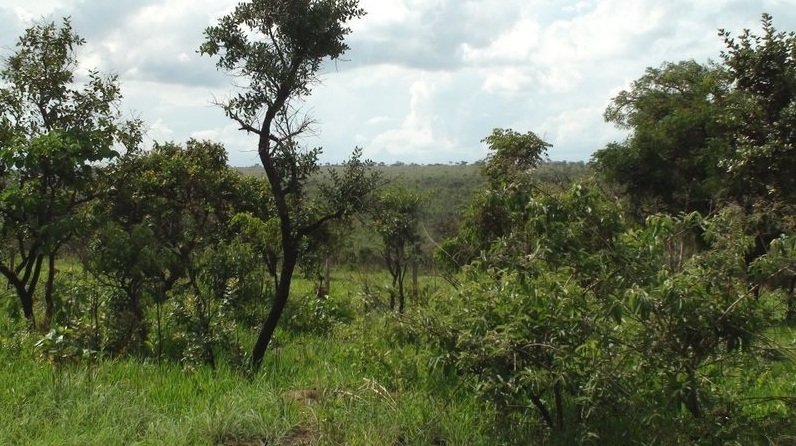 Comitê Distrital da Reserva da Biosfera do Cerrado reúne-se pela primeira vez