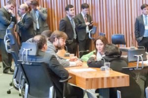 image_gallery-4