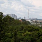 Reserva do Guará é desocupada para proteger a fauna e a flora