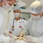 Conselho de Medicina reprova 56% dos recém-formados em SP