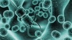 Brasília sediará o I Congresso Brasileiro de Nanomedicina
