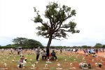 Brasília deve ganhar crematório em 2020