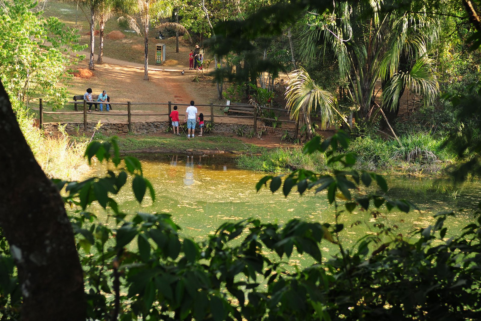 GDF inicia medidas de renovação e melhorias nos parques ecológicos