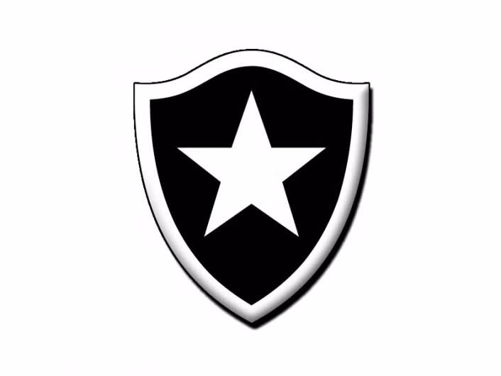 Identificado Torcedor Responsável por Gestos Racistas em Jogo do Botafogo contra o Palmeiras