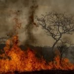 ICMBio alerta para possibilidade de expansão do incêndio no Parque Nacional de Brasília