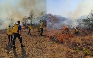 Dois brigadistas morrem ao combater Incêndio florestal em Uruçuí, Piauí