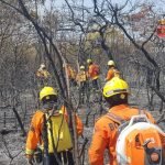 Incêndio no Parque Nacional de Brasília – Atualização