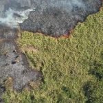 Marina Silva alerta que Pantanal pode desaparecer até o final do século sem mudanças urgentes