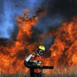 Brasília em chamas: o descaso que alimenta o fogo