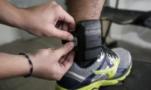 Prisão temporária poderá chegar a 15 dias após aprovação na Câmara