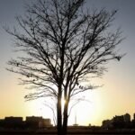 Cientista alerta para risco de aquecimento global por longo tempo