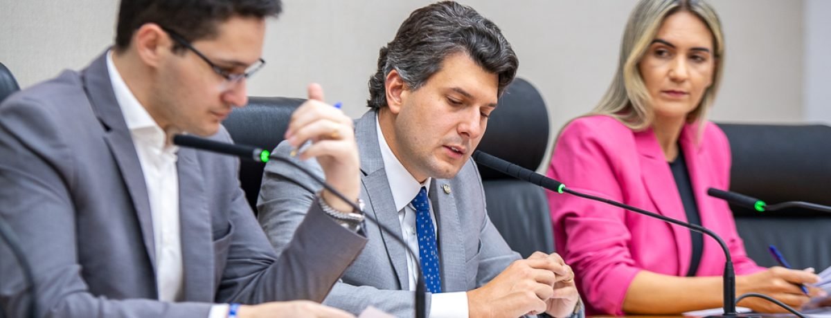 A Comissão de Economia, Orçamento e Finanças (CEOF) analisa a adequação e a repercussão orçamentária e financeira das propostas. O colegiado também acompanha as diretrizes orçamentárias, os créditos adicionais e as contas públicas, além dos programas de governo, como o orçamento anual.