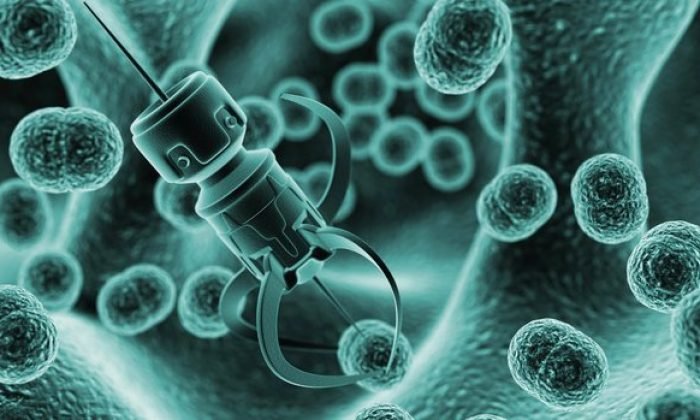 Sociedade Brasileira de Nanomedicina