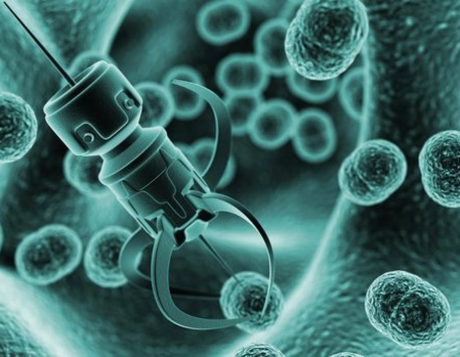 Sociedade Brasileira de Nanomedicina