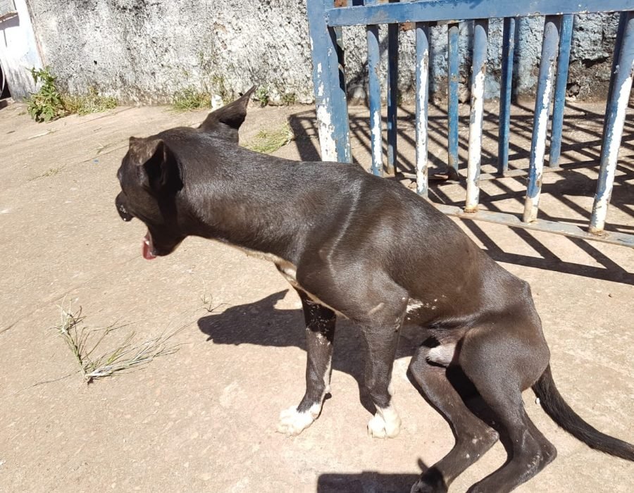Foto: Divulgação/ Ibram