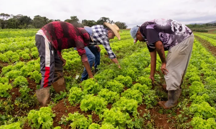 banco-de-alimentos-1-