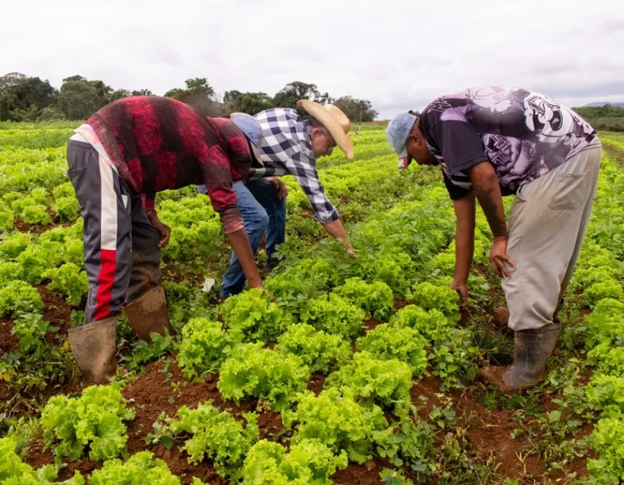 banco-de-alimentos-1-