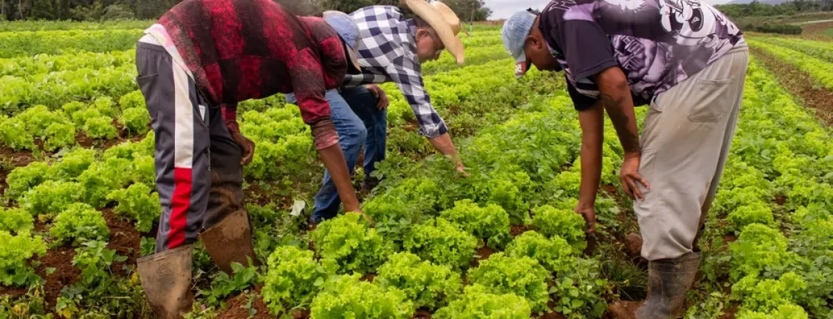 banco-de-alimentos-1-