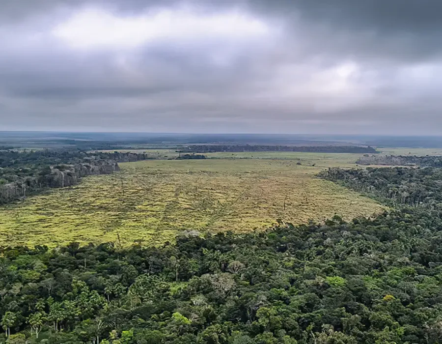 bbfdaf87-d5c9-40f2-bb21-8ebaff580583