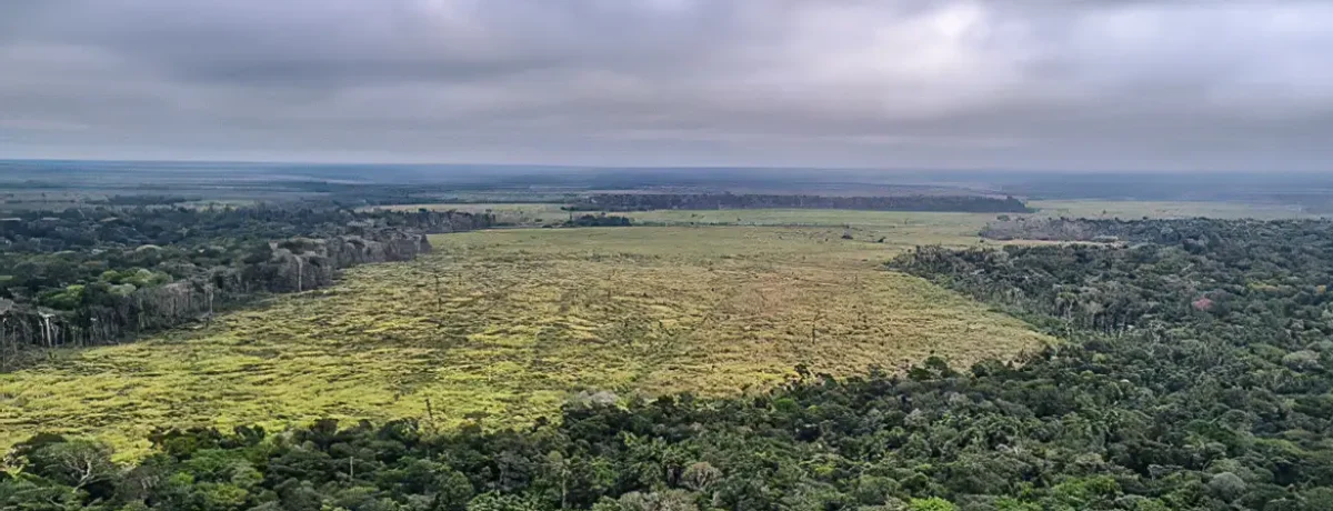 bbfdaf87-d5c9-40f2-bb21-8ebaff580583