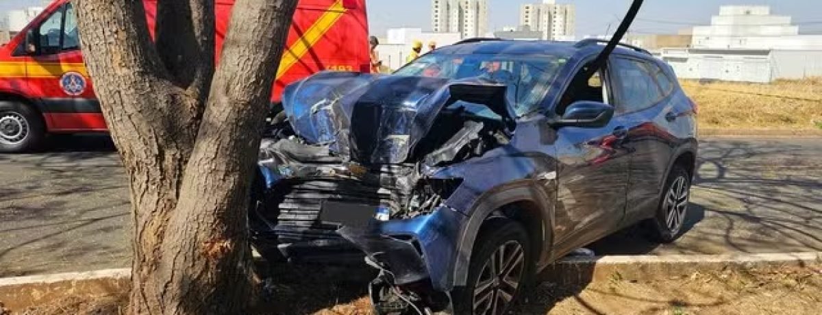 Foto: Polícia Militar/Divulgação