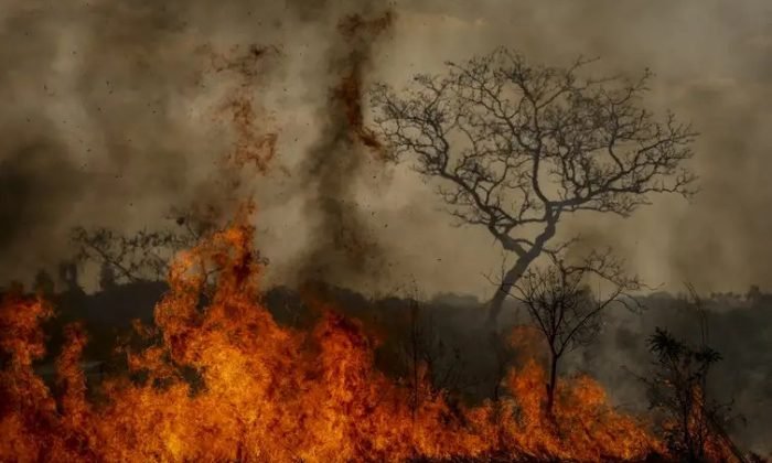 Imagem: Marcelo Camargo/Agência Brasil