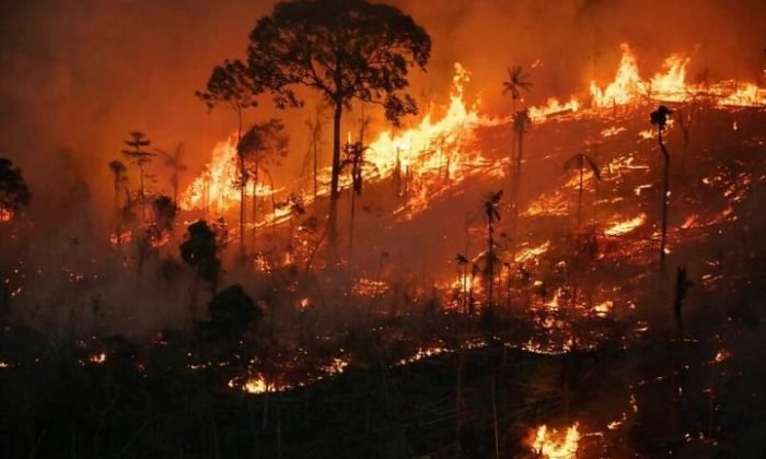 Foto: Nilmar Lage/Greenpeace