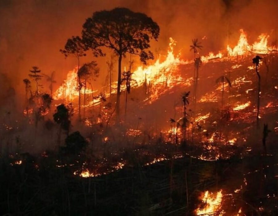 Foto: Nilmar Lage/Greenpeace