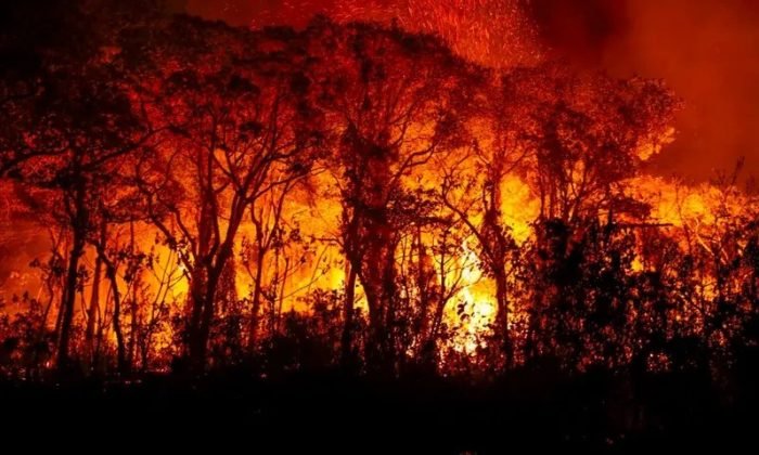 Foto: Joédson Alves/Agência Brasil