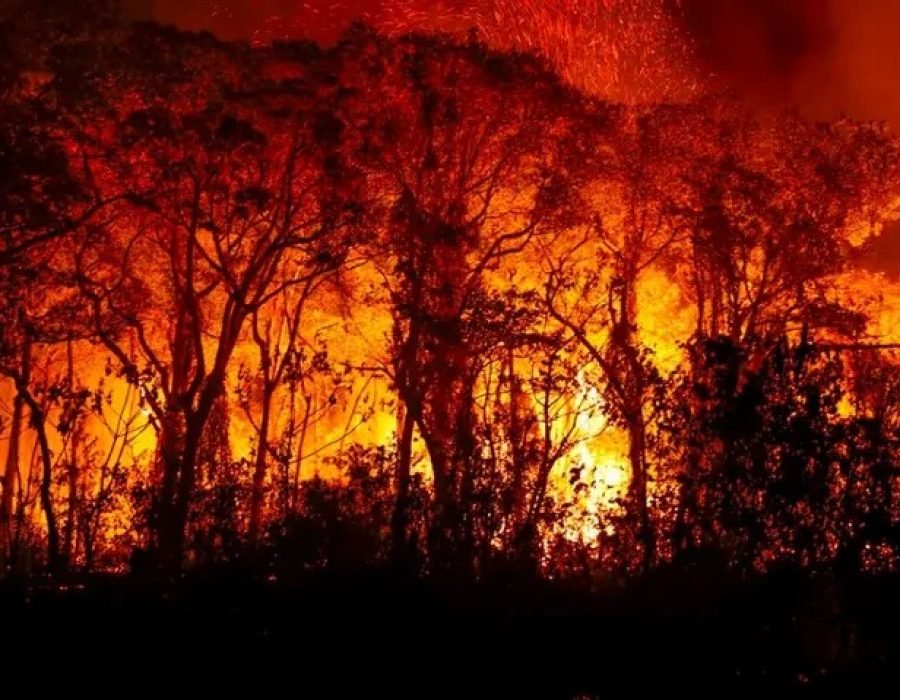 Foto: Joédson Alves/Agência Brasil