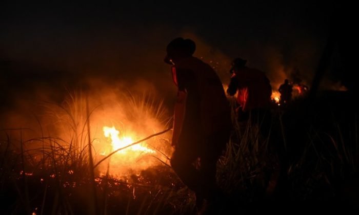 Foto: Claudia Morales/Reuters