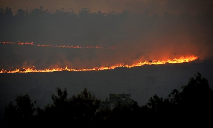 incendio-de-grandes-proporcoes-atinge-floresta-nacional-de-brasilia