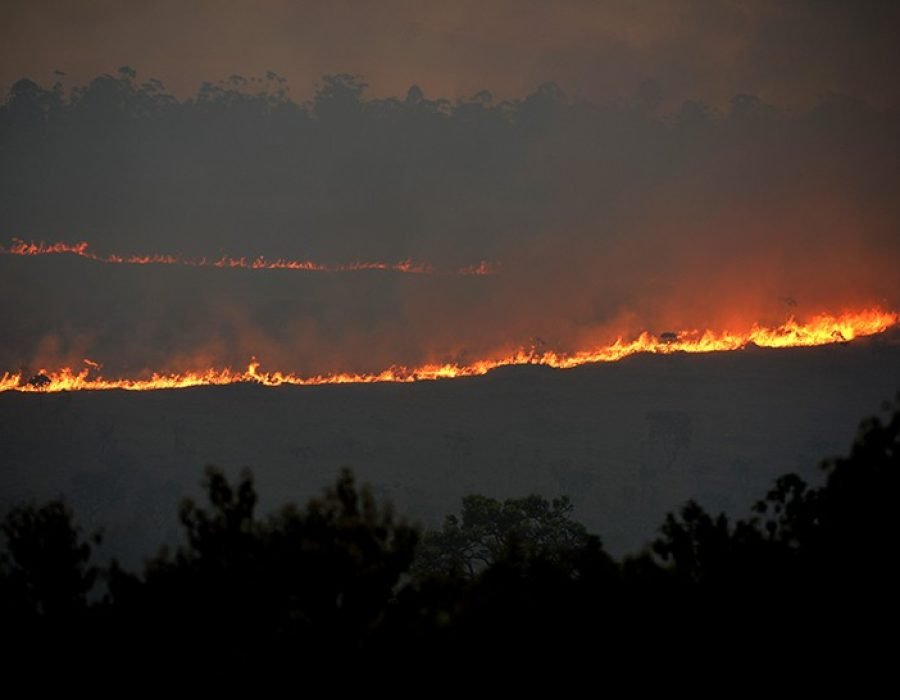 incendio-de-grandes-proporcoes-atinge-floresta-nacional-de-brasilia