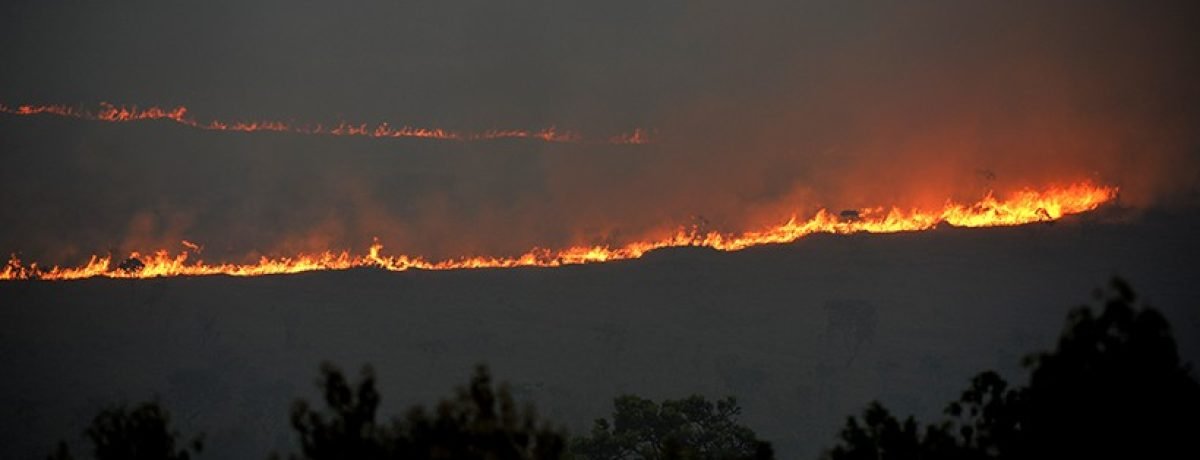 incendio-de-grandes-proporcoes-atinge-floresta-nacional-de-brasilia