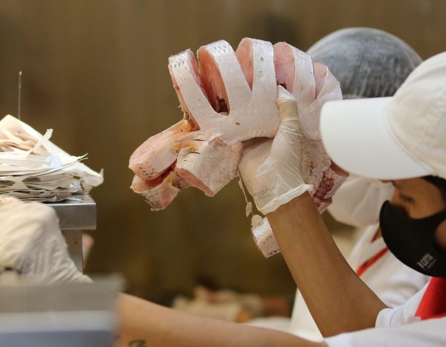 Comércio de peixes e pescados para a Semana Santa