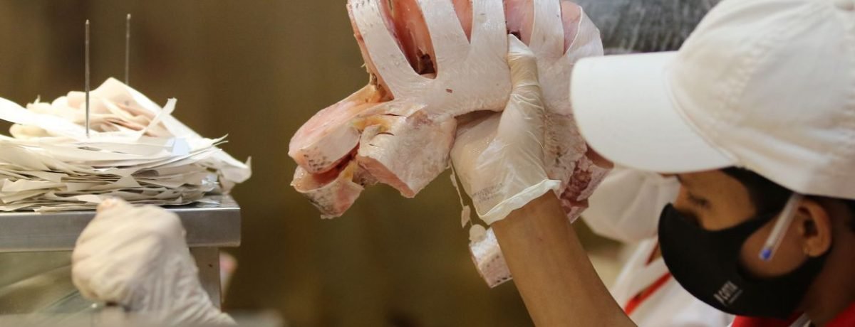 Comércio de peixes e pescados para a Semana Santa