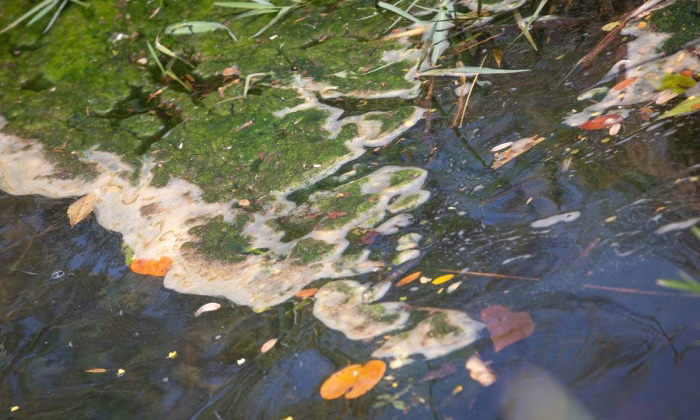 rio-melchior-reune-ativistas-e-cidadaos-para-coletar-lixo-da-agua-9