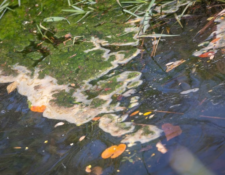 rio-melchior-reune-ativistas-e-cidadaos-para-coletar-lixo-da-agua-9