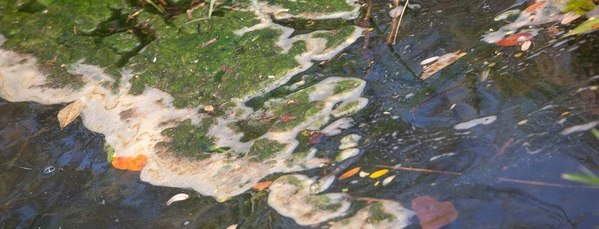 rio-melchior-reune-ativistas-e-cidadaos-para-coletar-lixo-da-agua-9